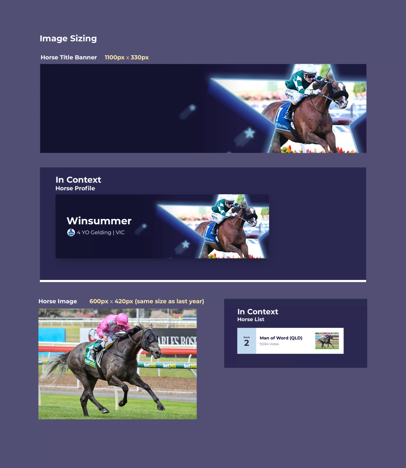 Horse Status and Marketing Guides supporting design 2
